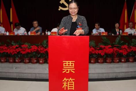 2026年福建省居民委员会选举办法最新
