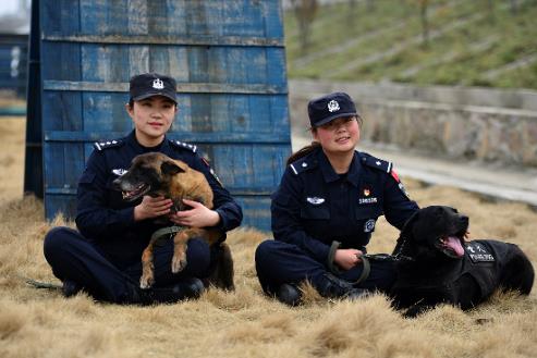 公安民警病退条件及工资标准2026年