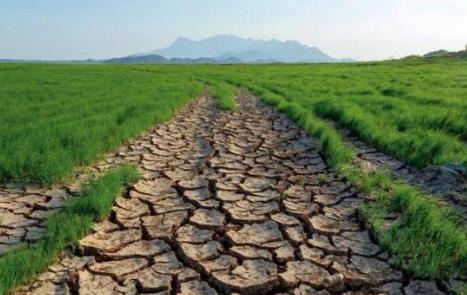 2026年河源市农业气候资源保护和开发利用条例最新