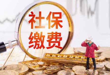 社保交多少年最划算?领取多少年回本?