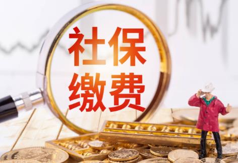 社保缴费基数档位怎么选?交满15年退休能领多少钱?