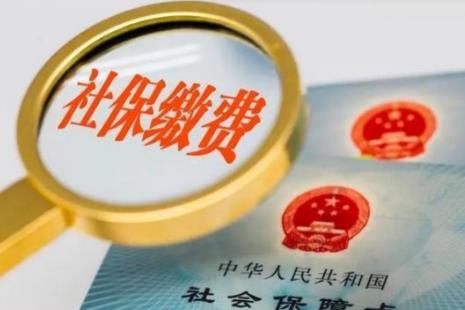 2026年职工社保缴费基数标准