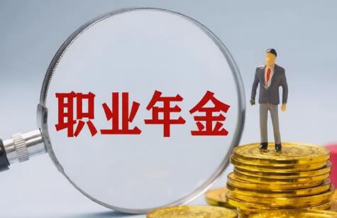职业年金