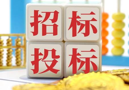 2026年招标投标流程详细步骤