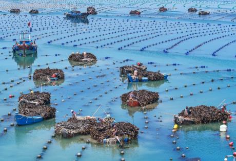 海域养殖