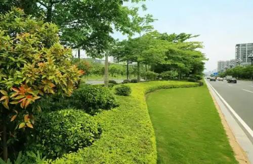 2026年南阳市城市绿化条例最新